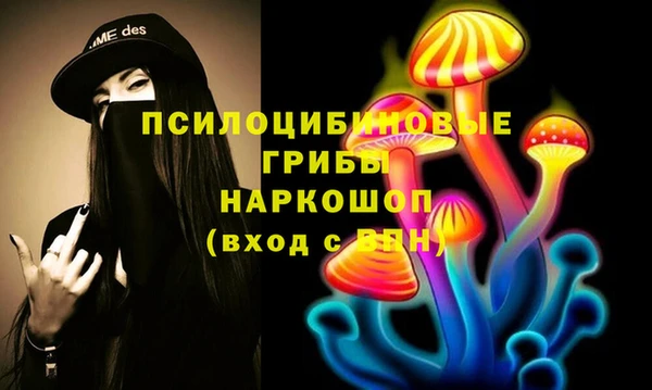 PSILOCYBIN Алексин